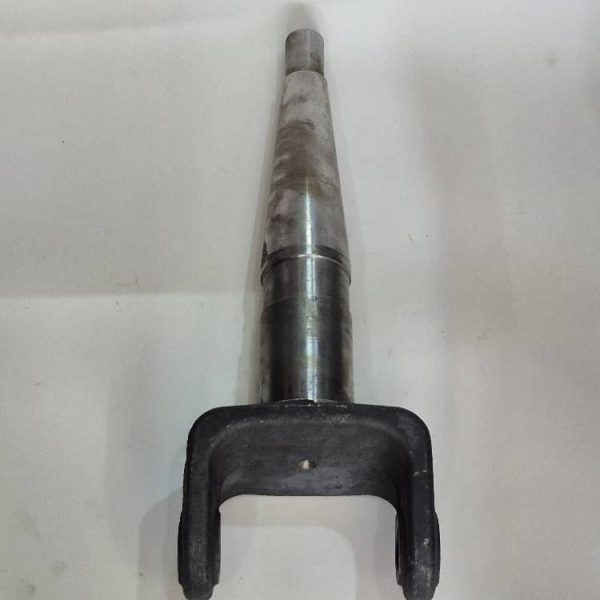 دو شاخه بلند راک